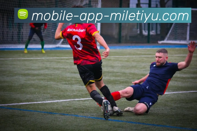 多媒体互动体验